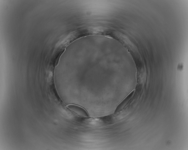 X0000091010427200708162002