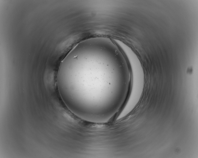 X0000091010428200708162002