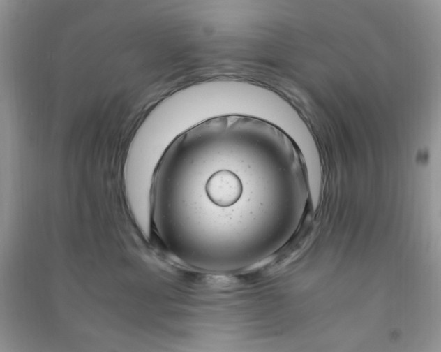 X0000091010429200708162002