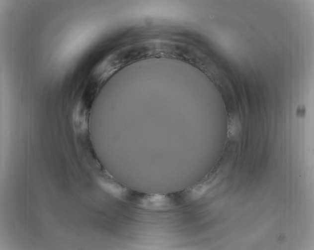 X0000091010431200708162002