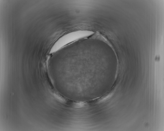 X0000091010432200708162002