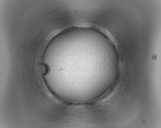 X0000091010433200708162001