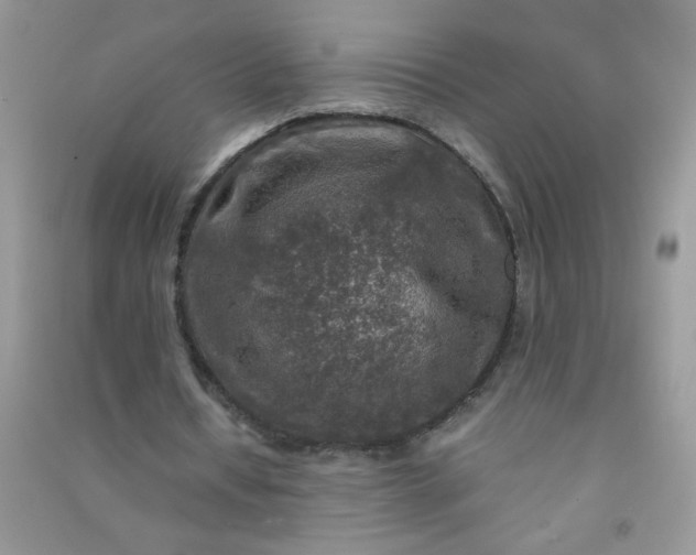 X0000091010434200708162001