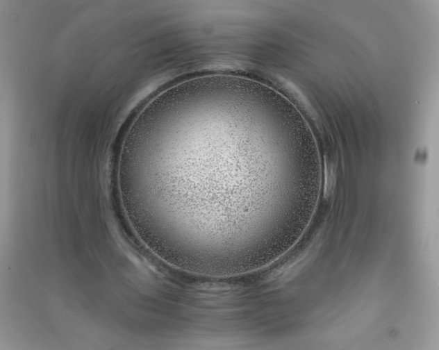 X0000091010435200708162001