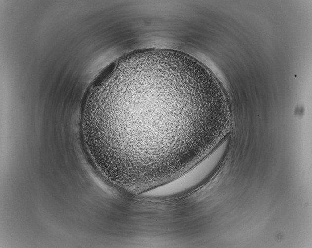 X0000091010437200708162001