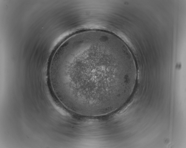 X0000091010438200708162001