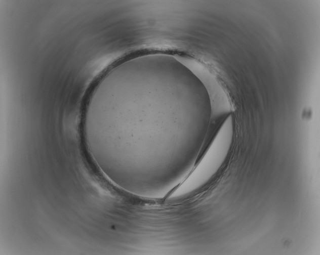 X0000091010440200708162001