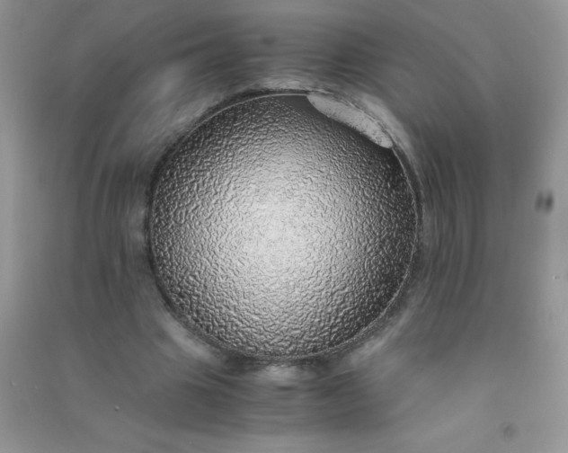 X0000091010441200708162001