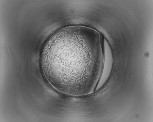 X0000091010442200708162001