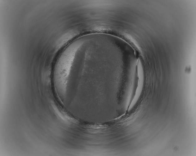 X0000091010443200708162002