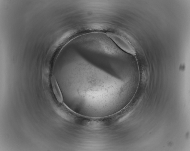 X0000091010444200708162002