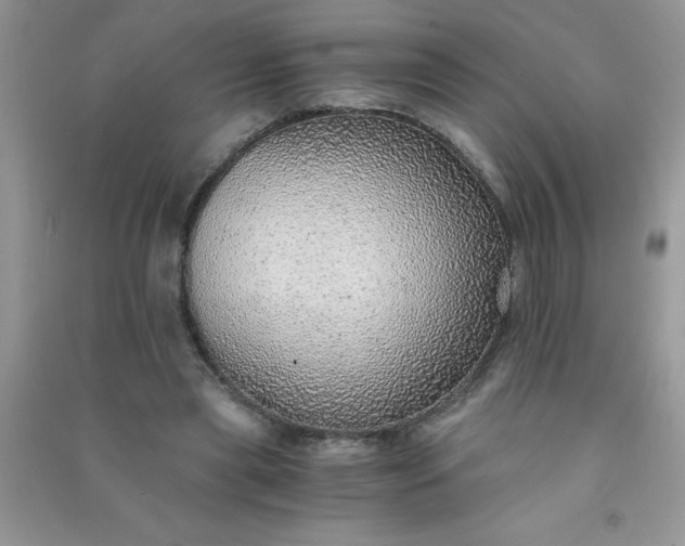 X0000091010445200708162002