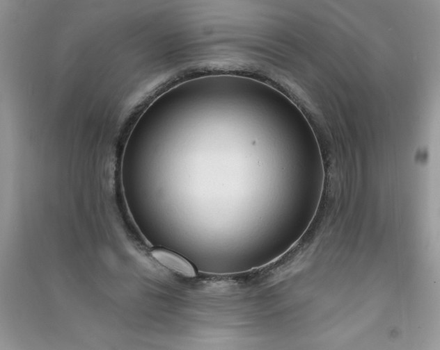 X0000091010446200708162002