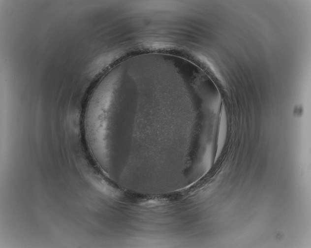 X0000091010447200708162002