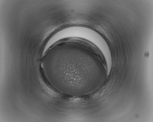 X0000091010448200708162002