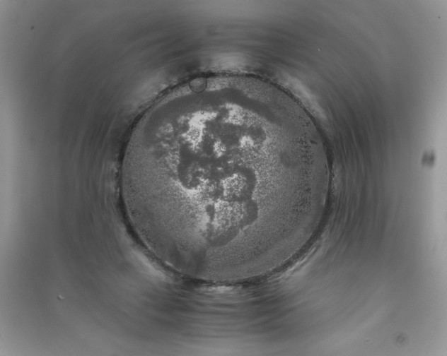 X0000091010449200708162002