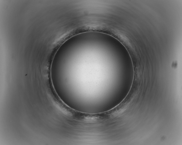 X0000091010450200708162002