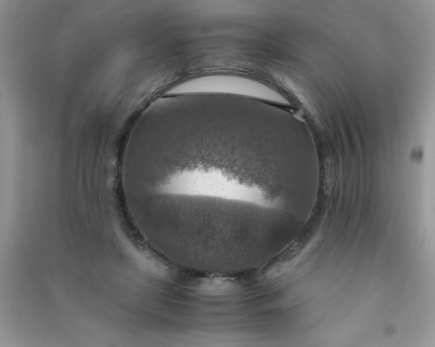 X0000091010451200708162002