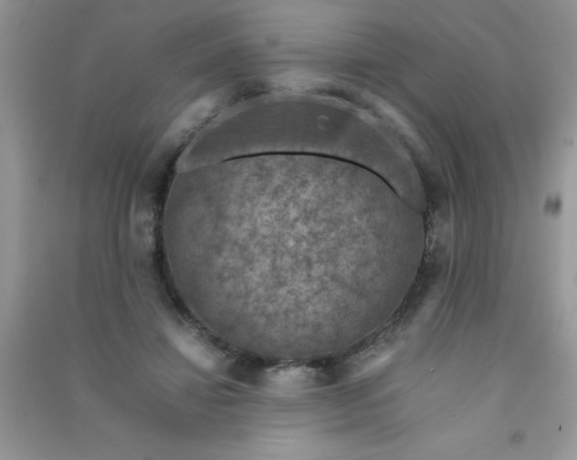 X0000091010452200708162002