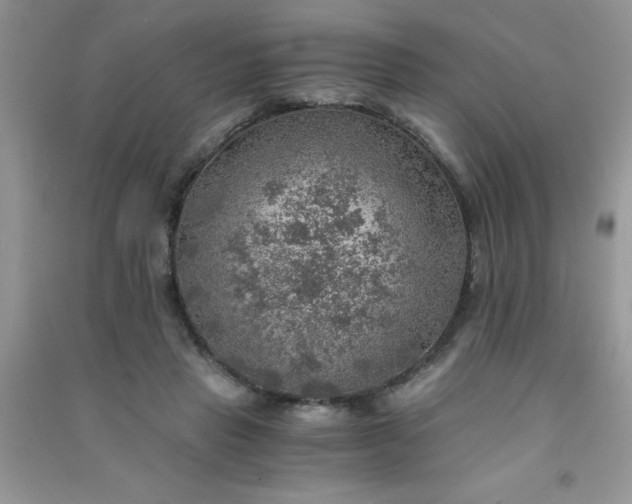 X0000091010453200708162002