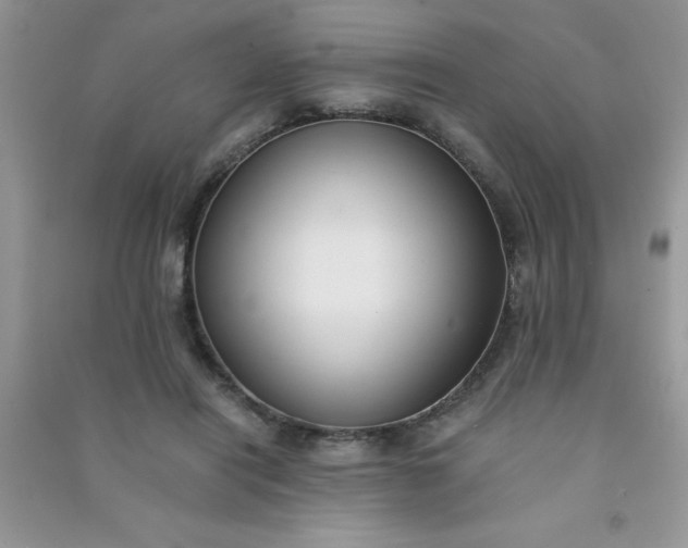 X0000091010454200708162002