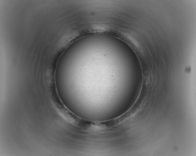 X0000091010455200708162002