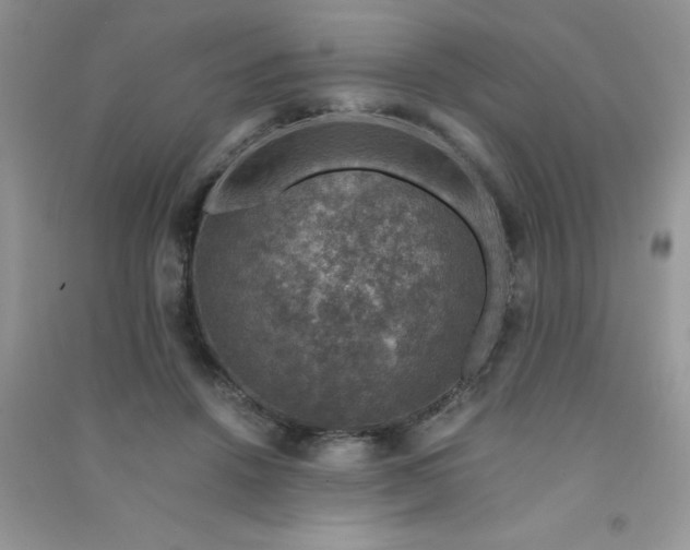 X0000091010456200708162002