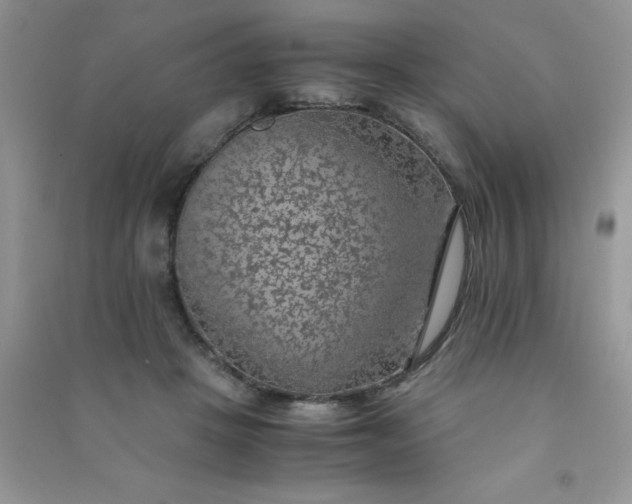 X0000091010457200708162002