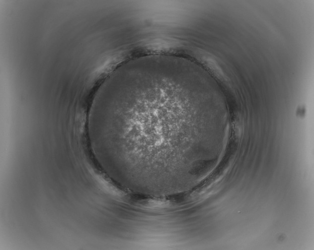 X0000091010458200708162002