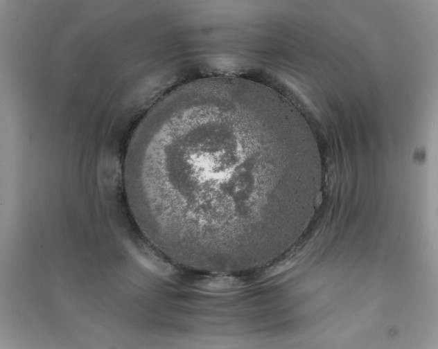 X0000091010459200708162002