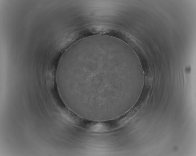 X0000091010460200708162002