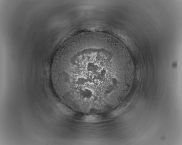 X0000091010461200708162002