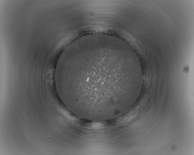 X0000091010462200708162002