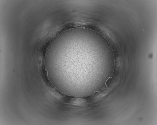 X0000091010463200708162002