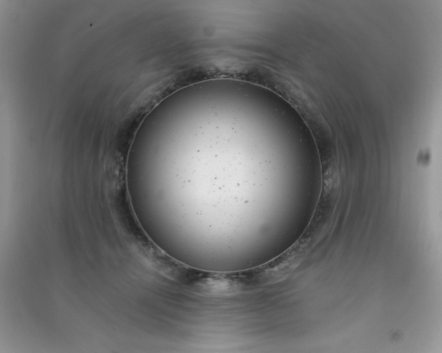 X0000091010464200708162002