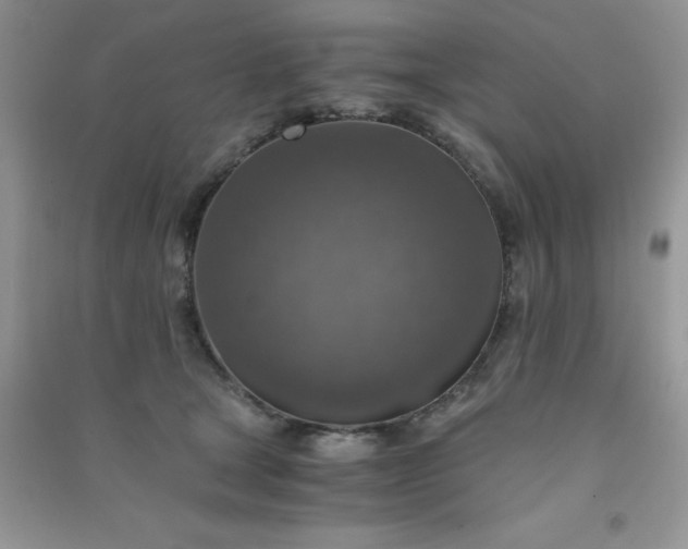 X0000091010465200708162002