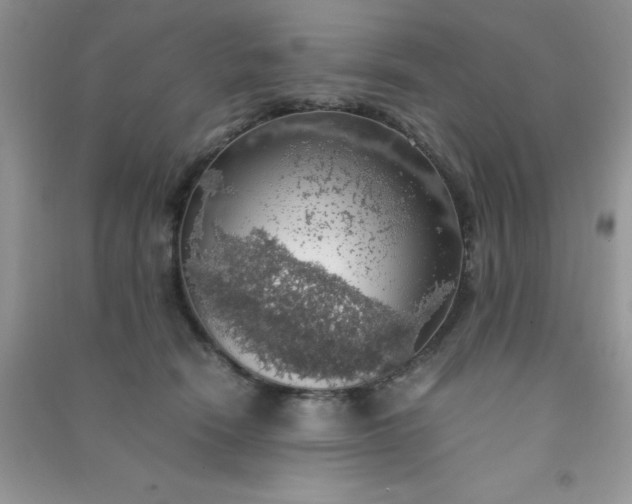 X0000091010466200708162002