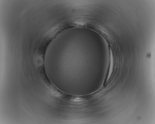 X0000091010467200708162002