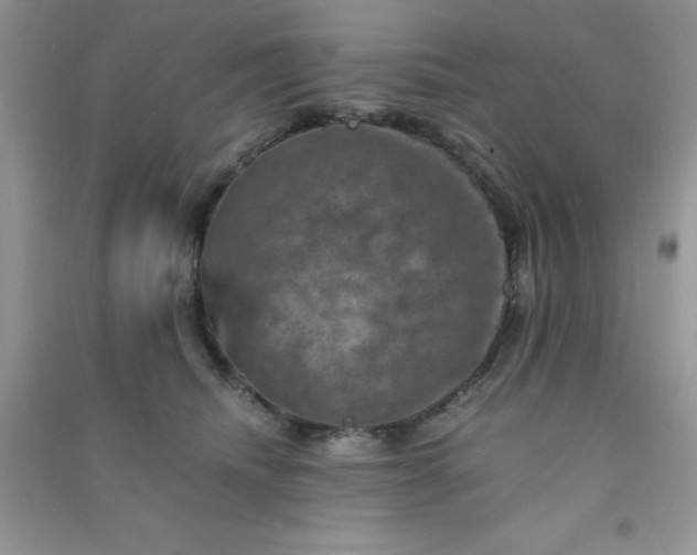 X0000091010468200708162002