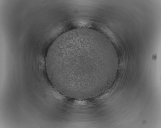 X0000091010469200708162002