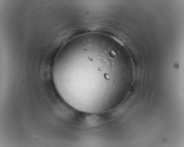 X0000091010470200708162002