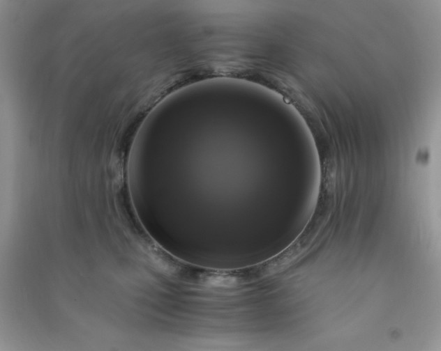 X0000091010471200708162002