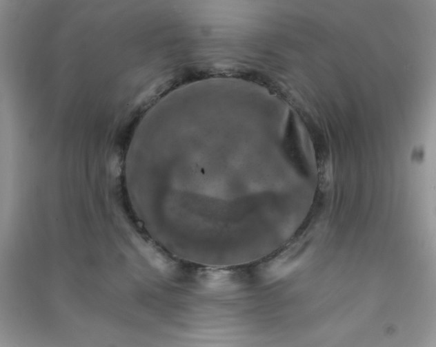 X0000091010472200708162002