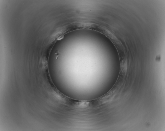 X0000091010474200708162002