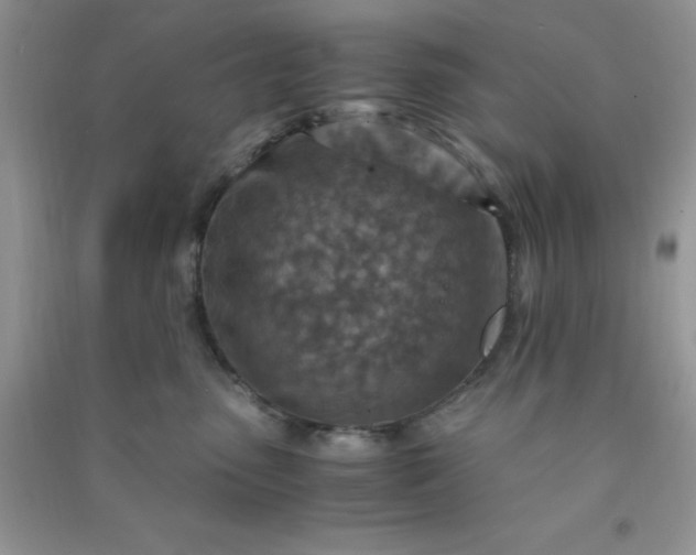 X0000091010475200708162002