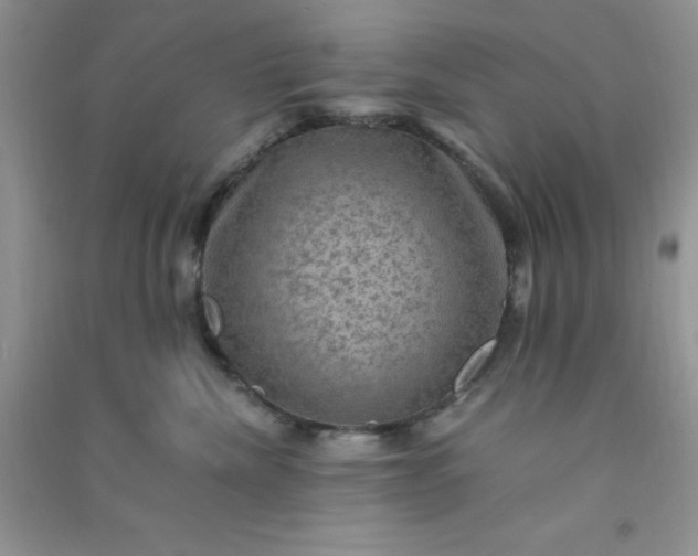 X0000091010476200708162002