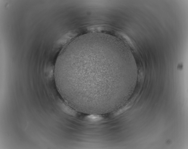 X0000091010477200708162002