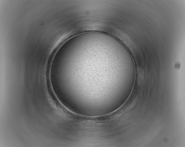 X0000091010482200708162001