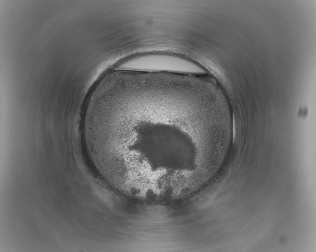 X0000091010483200708162001