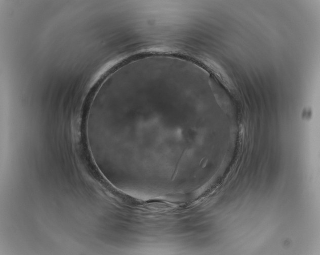 X0000091010484200708162001